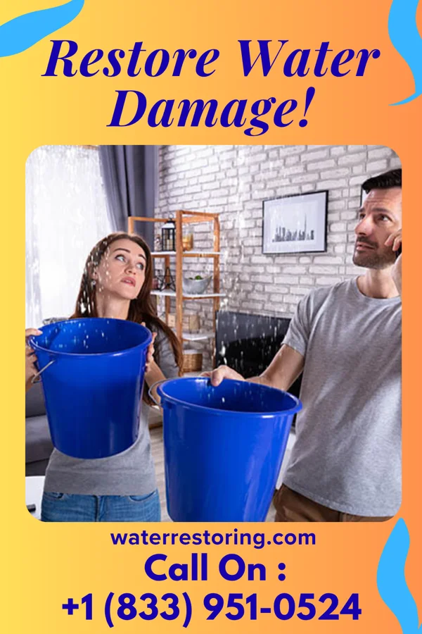 water restoration Western Water Mitigation Professionals Freeport